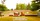 Curb Appeal Services © | Painting Contractors - Remodeling Contractors - Wheaton IL. - Illinois 